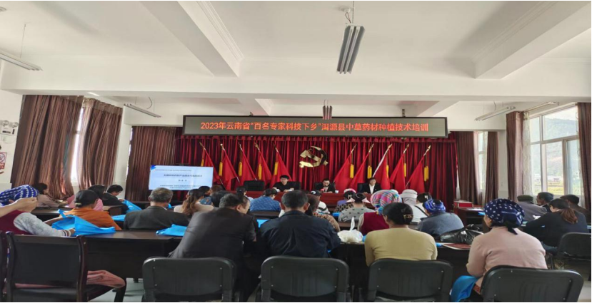大理大学药学院生药学教授段宝忠到 邓川镇开展中草药材种植技术培训