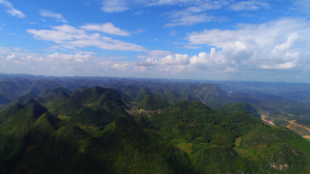 建设绿美云南，“互联网+全民义务植树”成效突出